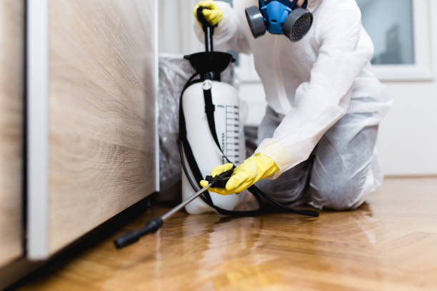 Best Wasp Removal Services  in Mascot, TN