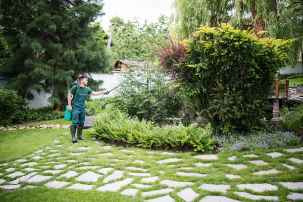 Best Pest Prevention Services  in Mascot, TN
