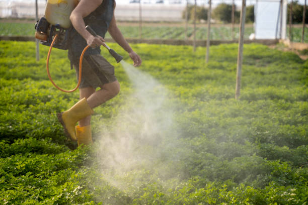 Best Best Pest Control Companies  in Mascot, TN