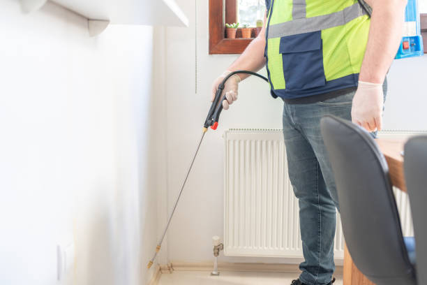 Best Affordable Pest Control Services  in Mascot, TN
