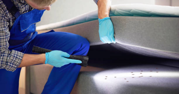 Best Affordable Exterminators  in Mascot, TN