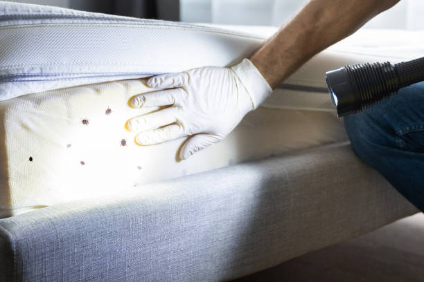 Best Commercial Pest Control Services  in Mascot, TN