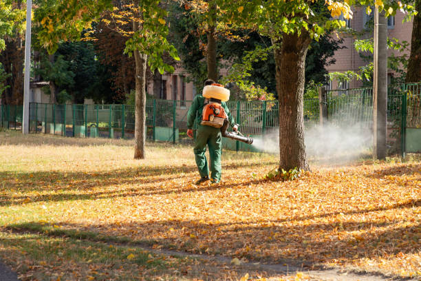 Best Exterminator Services  in Mascot, TN