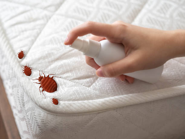 Best Pest Control Near Me  in Mascot, TN